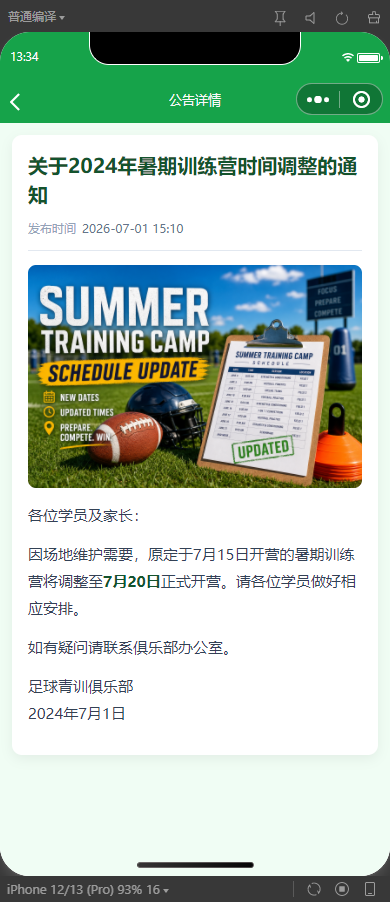 3-公告详情